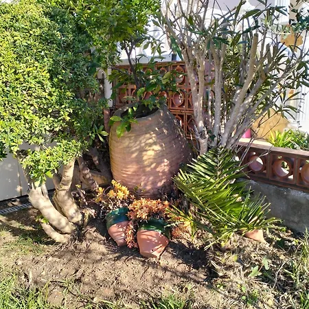 Maison Au Bord De L'eau Empuriabrava